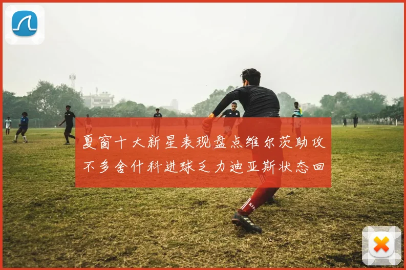 夏窗十大新星表现盘点维尔茨助攻不多舍什科进球乏力迪亚斯状态回暖
