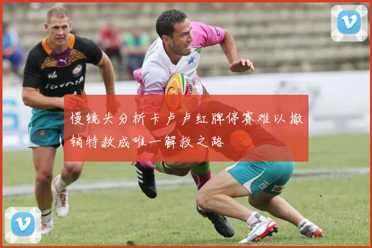 慢镜头分析卡卢卢红牌停赛难以撤销特赦成唯一解救之路
