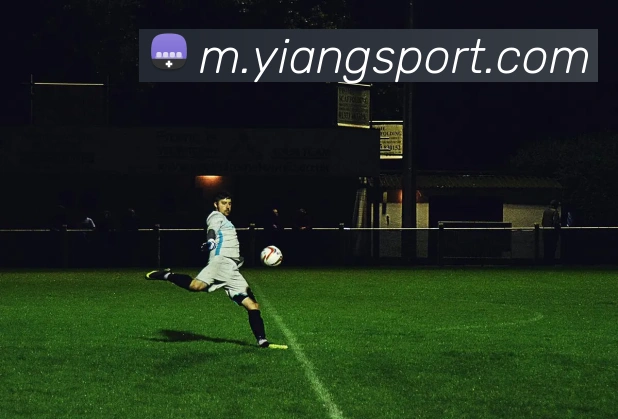 意昂体育APP 高清赛事图